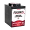 FULBAT Deep Cycle AGM Carbon Battery 6V C5/210Ah C/245Ah